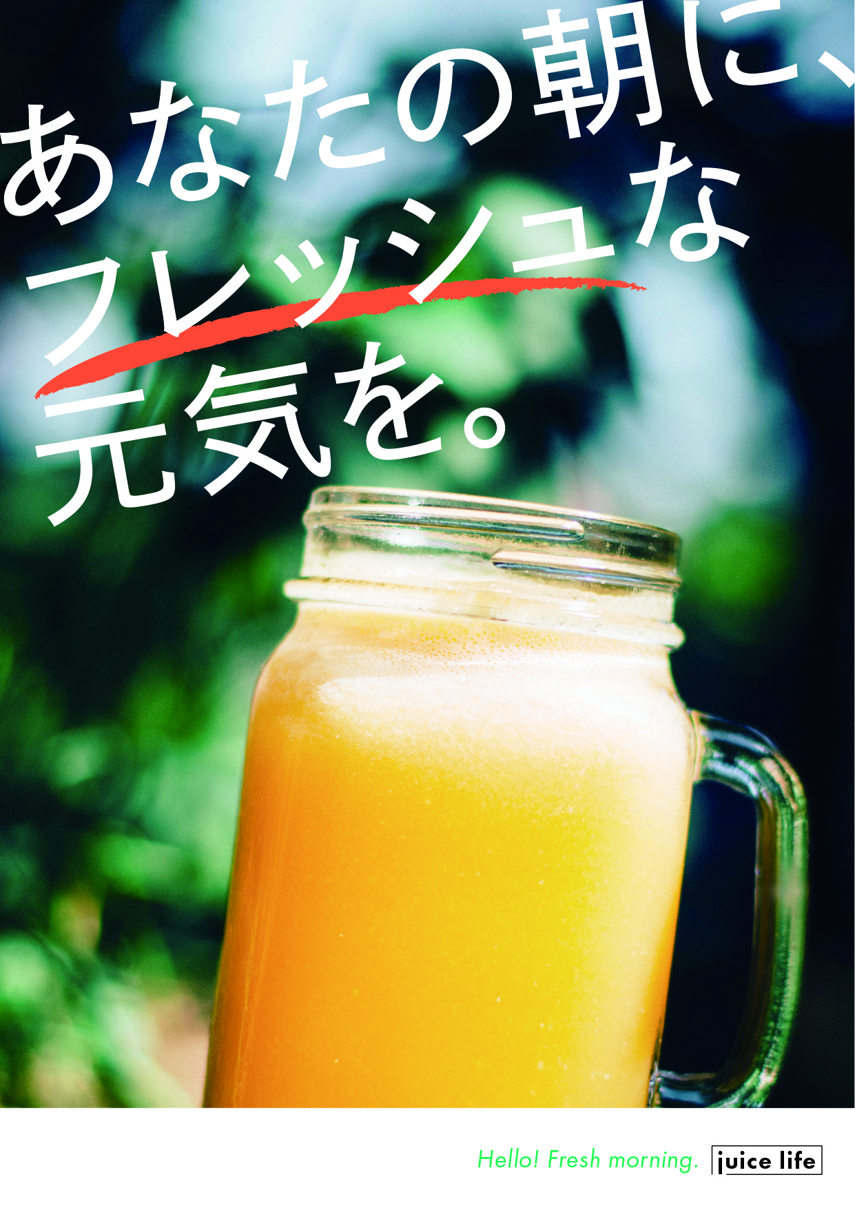 見本